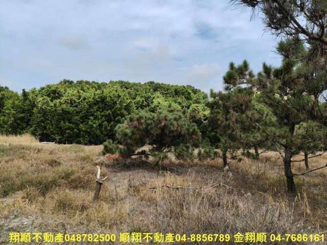 溪州農地-9