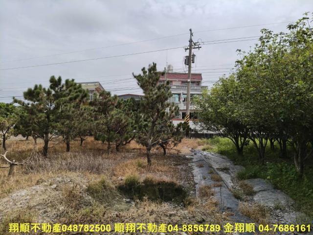 溪州農地-4