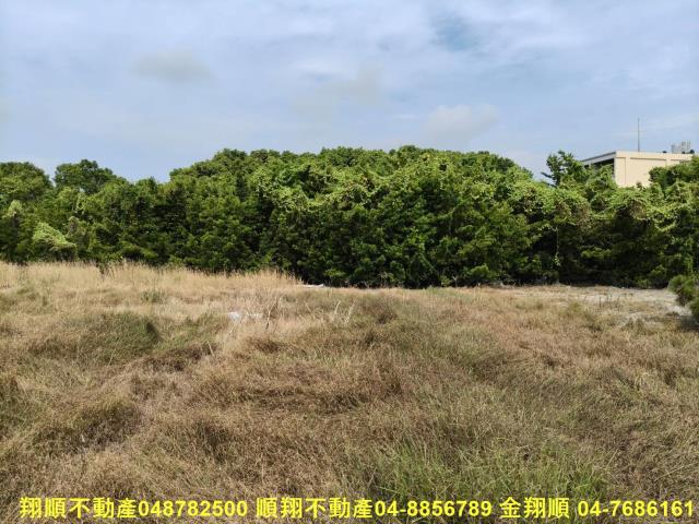溪州農地-5