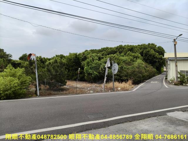 溪州農地-6