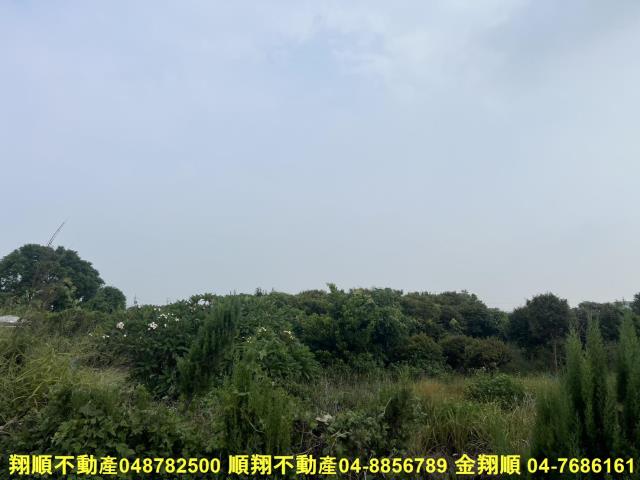 溪湖農地-10