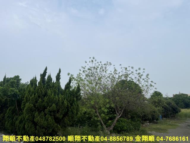 溪湖農地-11