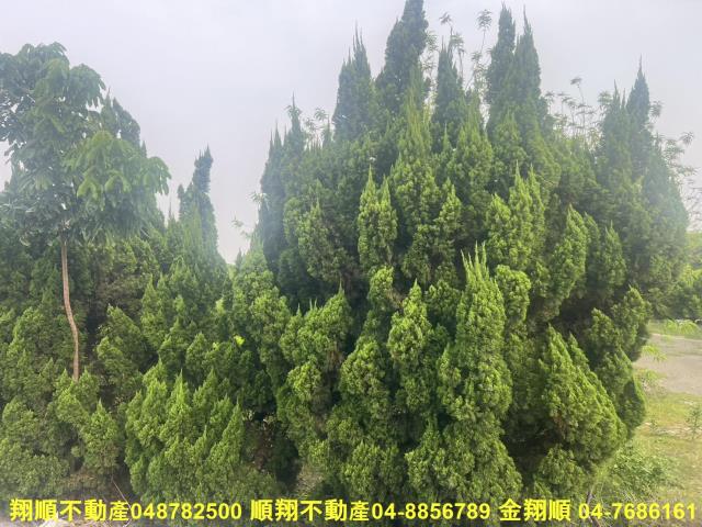 溪湖農地-4