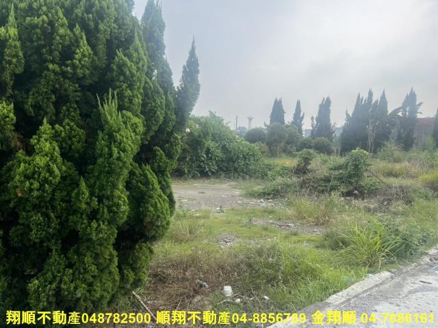 溪湖農地-5