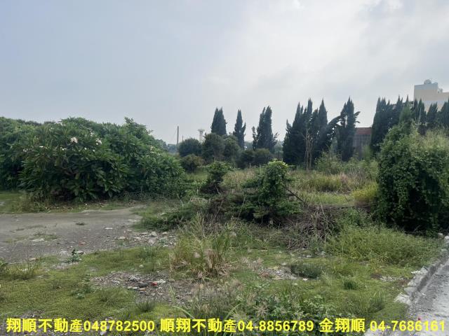 溪湖農地-6