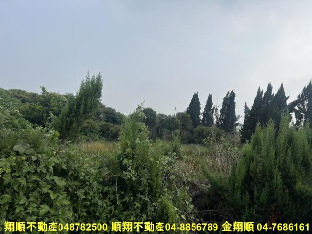 溪湖農地-7