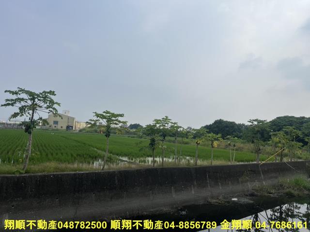溪湖農地-3