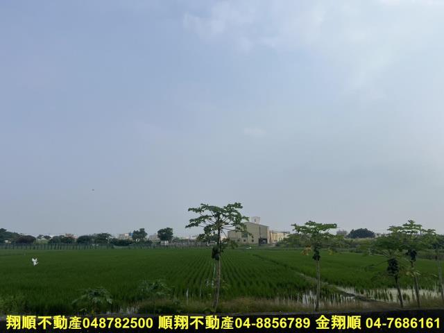溪湖農地-4