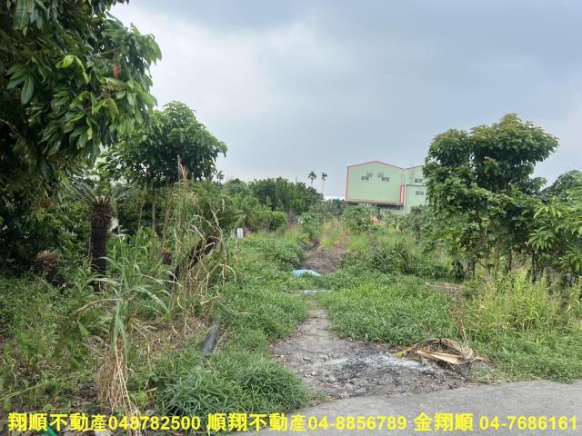 溪湖農地-6