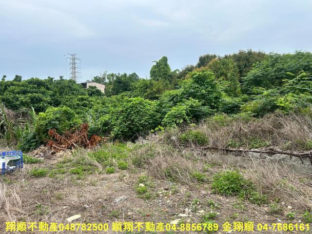 彰化建地-10