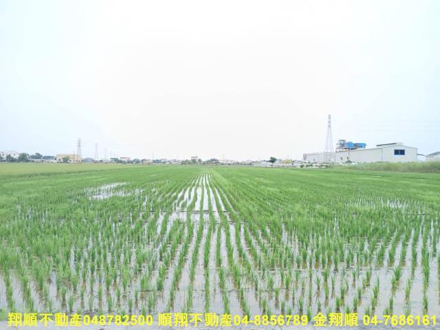 花壇農地-0