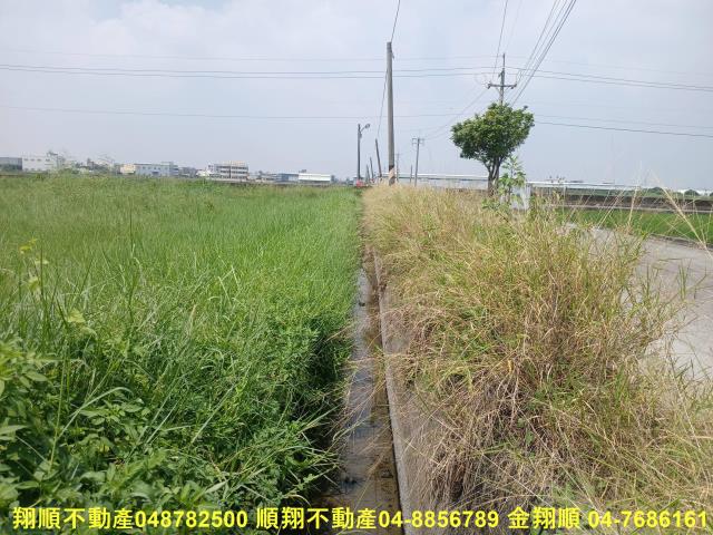 彰化花壇農地-9