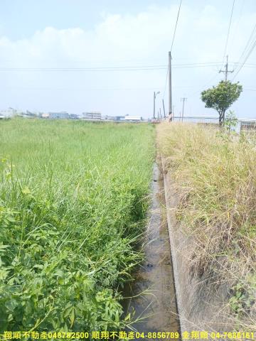 彰化花壇農地-13
