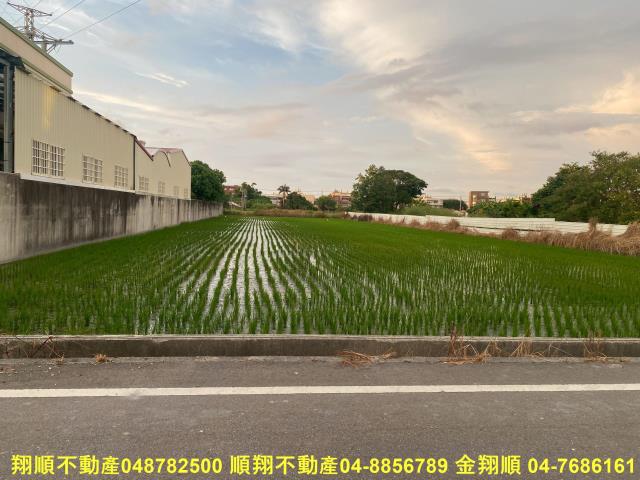 彰化秀水農地-5