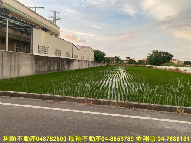 彰化秀水農地-6