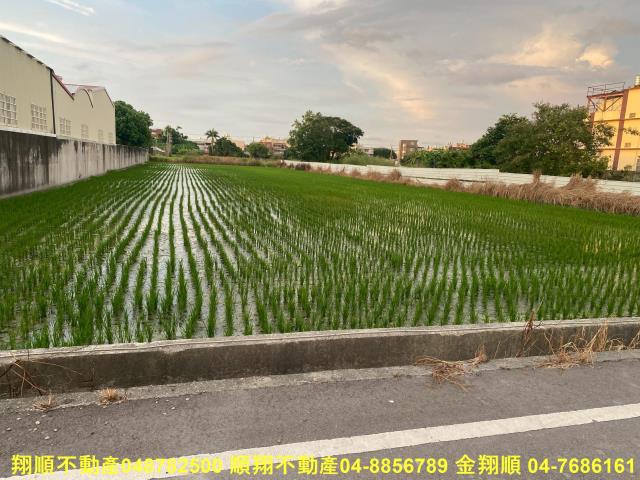 彰化秀水農地-7