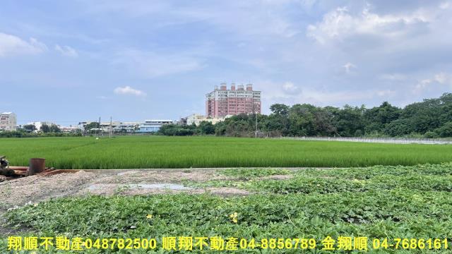 彰化北斗農地-0