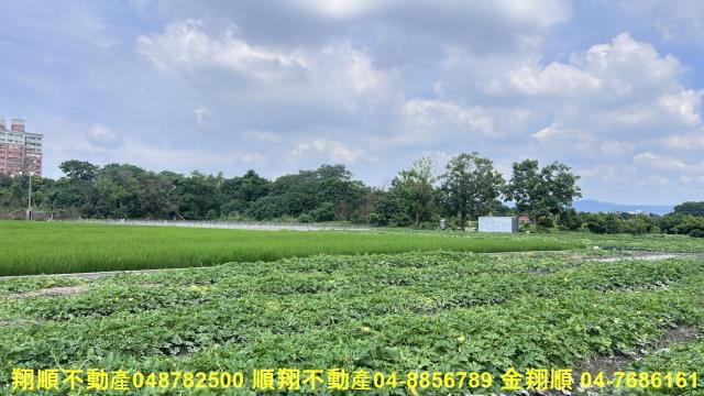 彰化北斗農地-1