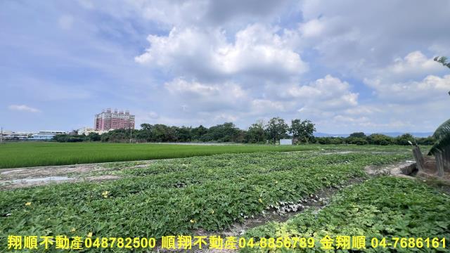彰化北斗農地-2