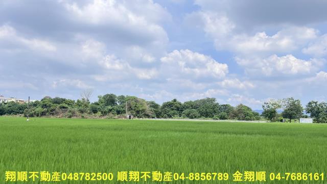 彰化北斗農地-3