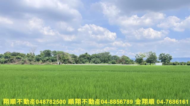 彰化北斗農地-4